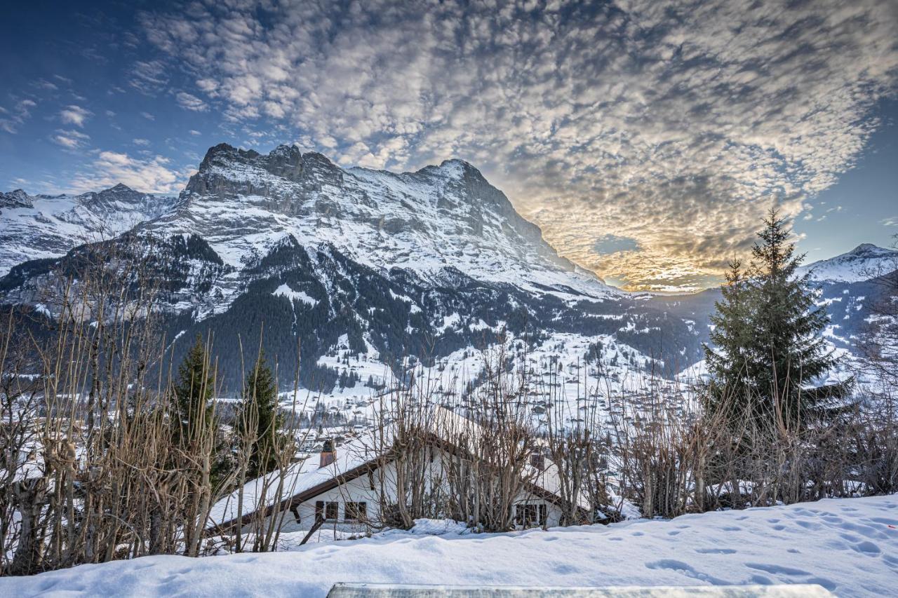 Chalet Weid - Aare Jungfrau Ag Grindelwald Exterior foto