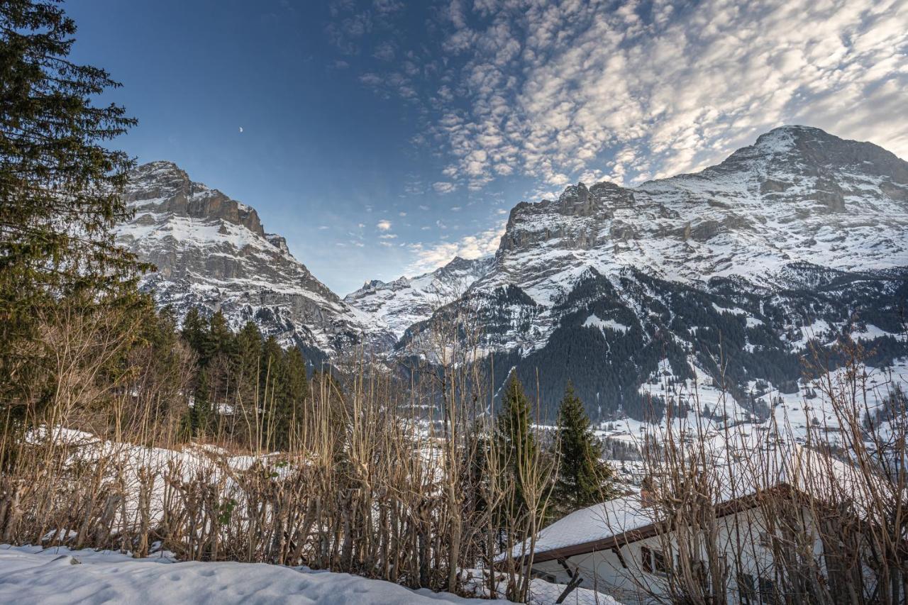 Chalet Weid - Aare Jungfrau Ag Grindelwald Exterior foto